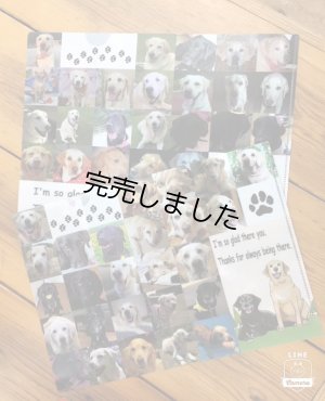 画像1: 引退補助犬クリアファイル（2枚セット）