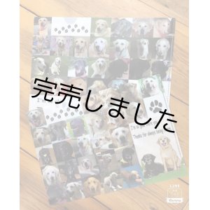 画像: 引退補助犬クリアファイル（2枚セット）