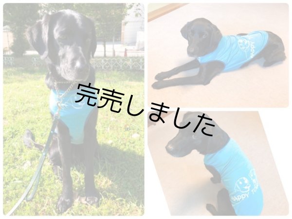 画像2: DOG Tシャツ(Happy Together)