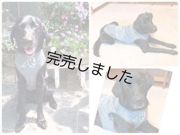 画像1: DOG Tシャツ(Happy Together)