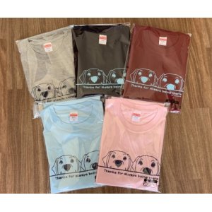 画像: Tシャツ　クロエ＆エビス